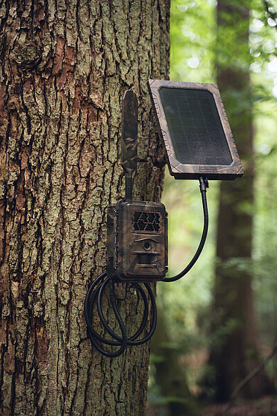 SEISSIGER Solarpanel für Wildkameras