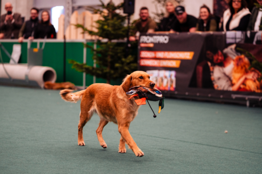 Jagd, Fischerei, Messe, Salzburg, Hund