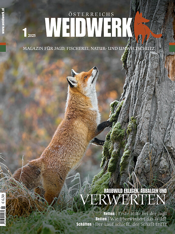 Jagdmagazin WEIDWERK