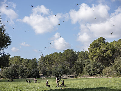 Driven Partridge shoots in Mallorca