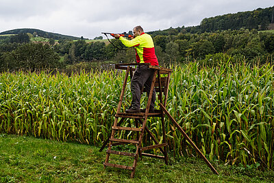 klappbare Ernte-Drückjagd-Leiter