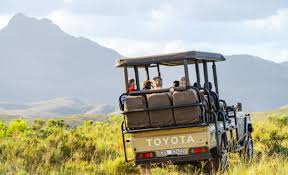 Game Drives